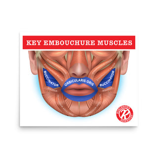 16" x 20" Know Your Embouchure Poster